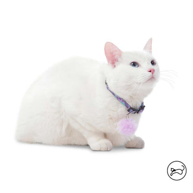 Collar ajustable para Gato Meow