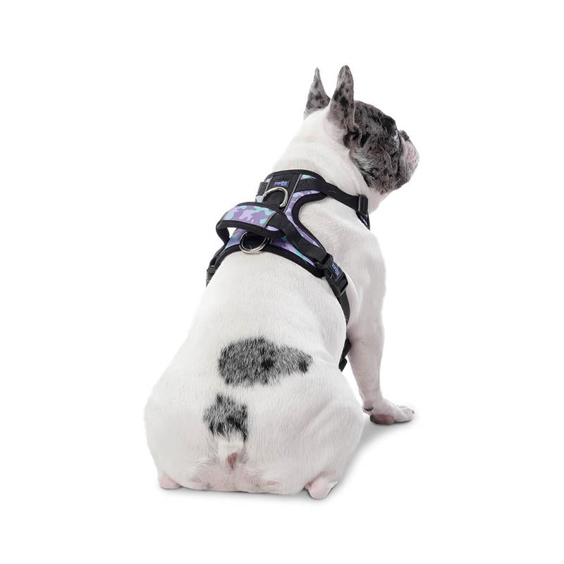 Arnes De Caminata Pechera Heikul S para Mascotas