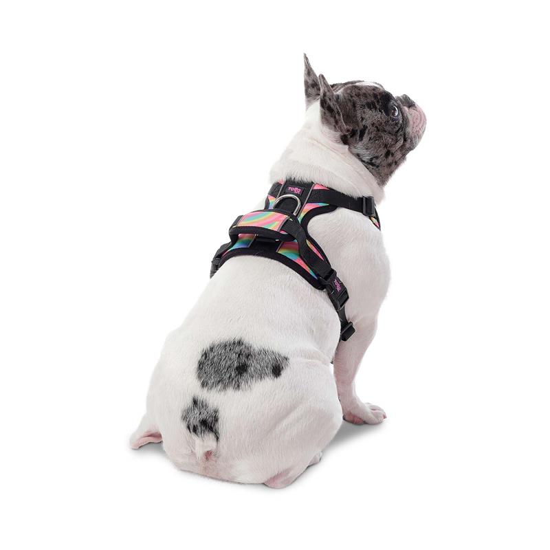 Arnes De Caminata Pechera Heikul S para Mascotas