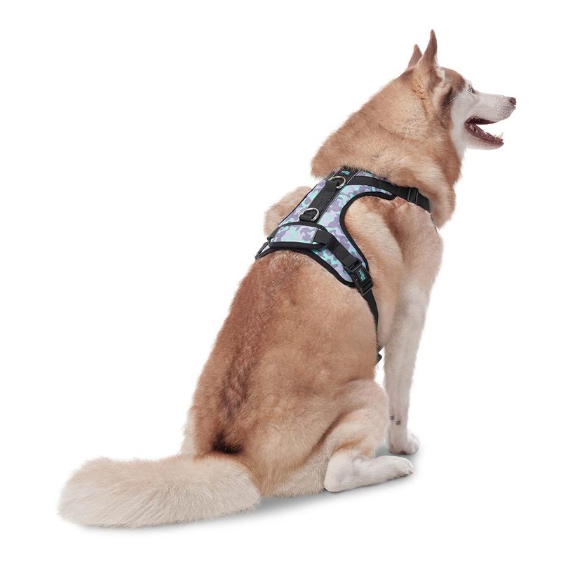 Arnes De Caminata Pechera Heikul L para Mascotas