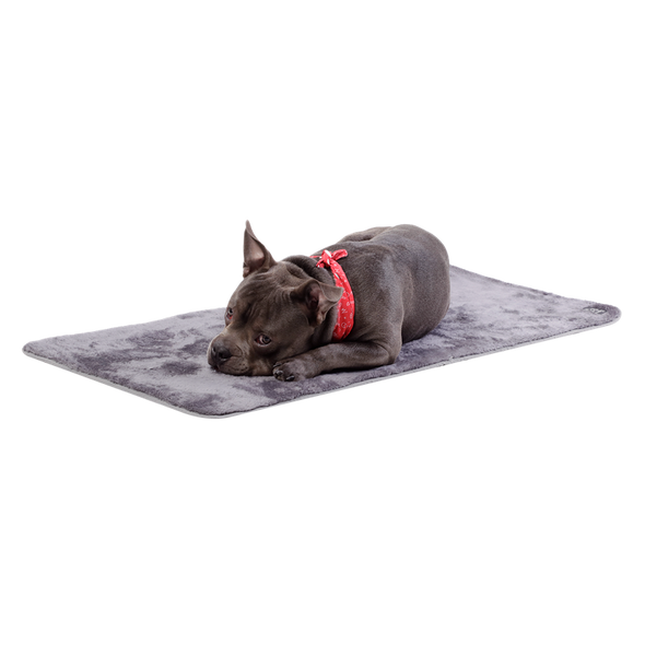 Cama Portatil Sherpy M para Mascotas