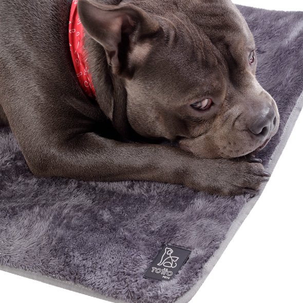 Cama Portatil Sherpy M para Mascotas