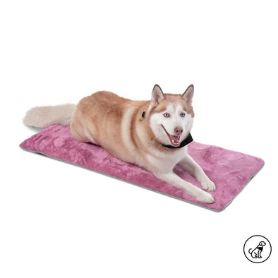 Cama Portatil Sherpy M para Mascotas