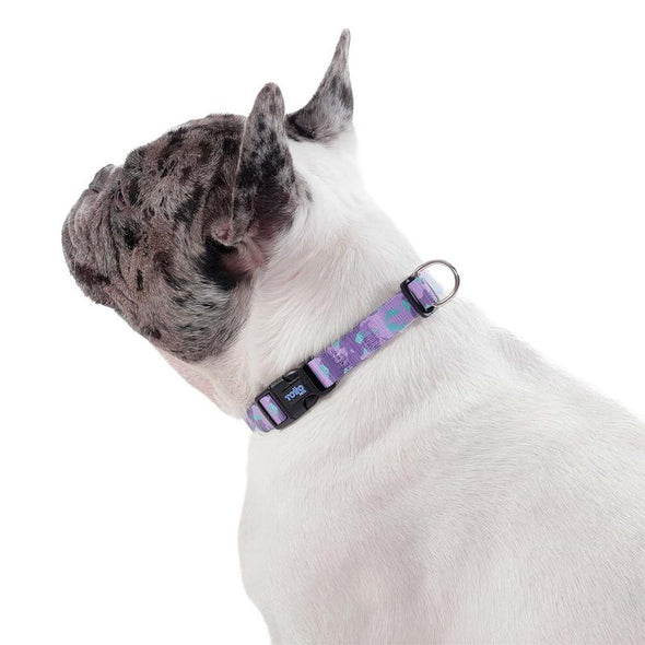 Collar Ajustable Mylu XS para Mascota
