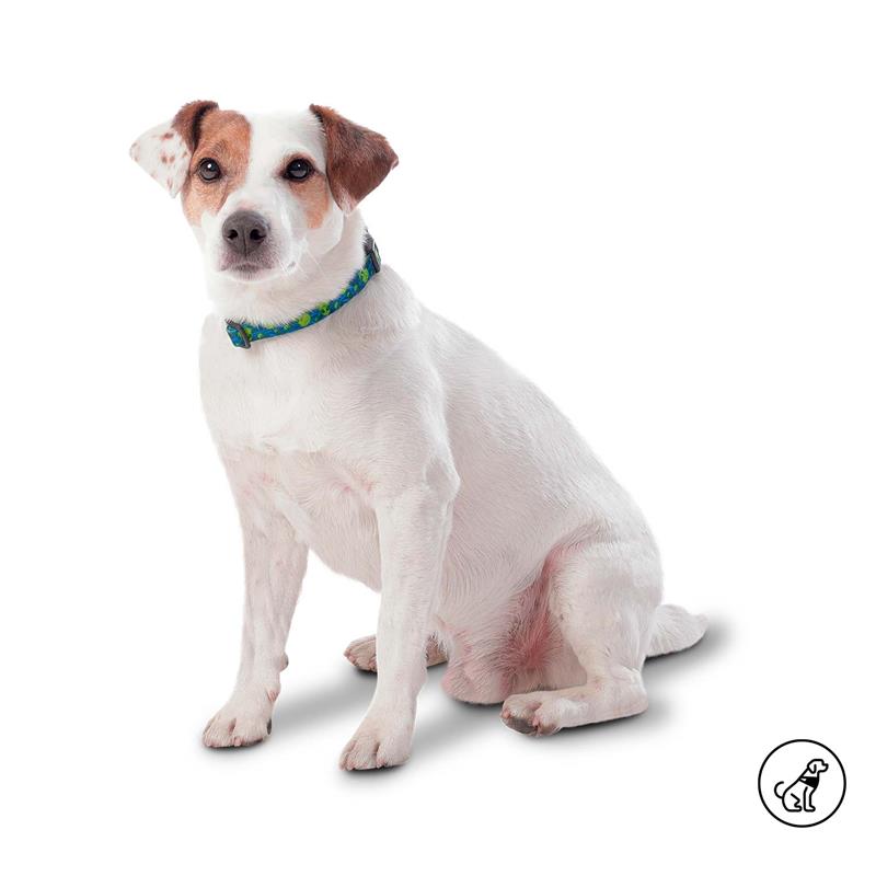 Collar Ajustable Mylu XS para mascota