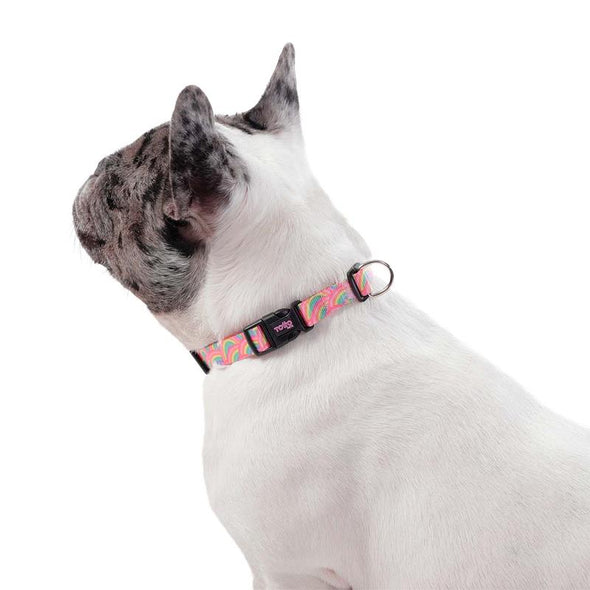 Collar Ajustable Mylu XS para Mascota