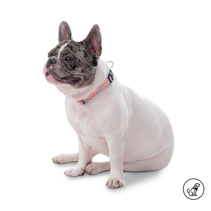 Collar Ajustable Mylu S para Mascota