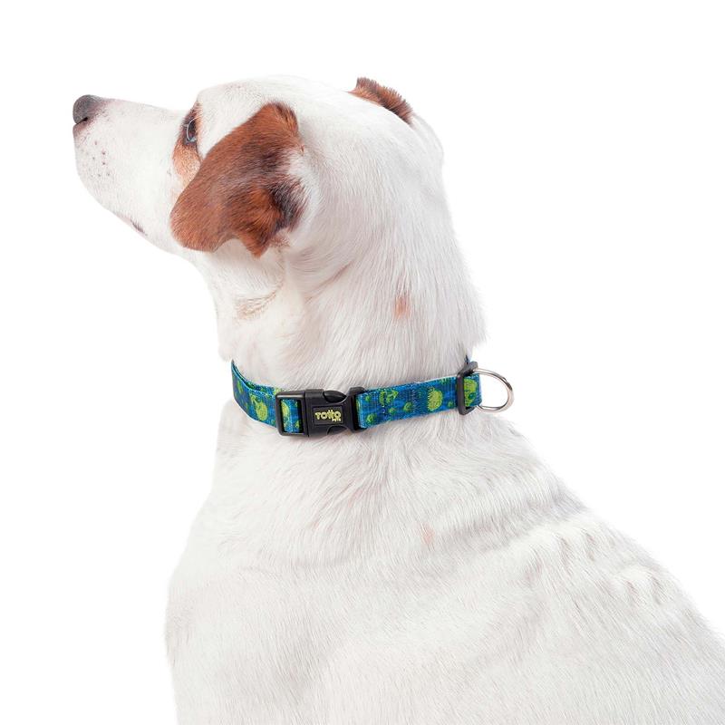 Collar Ajustable Mylu M para Mascota