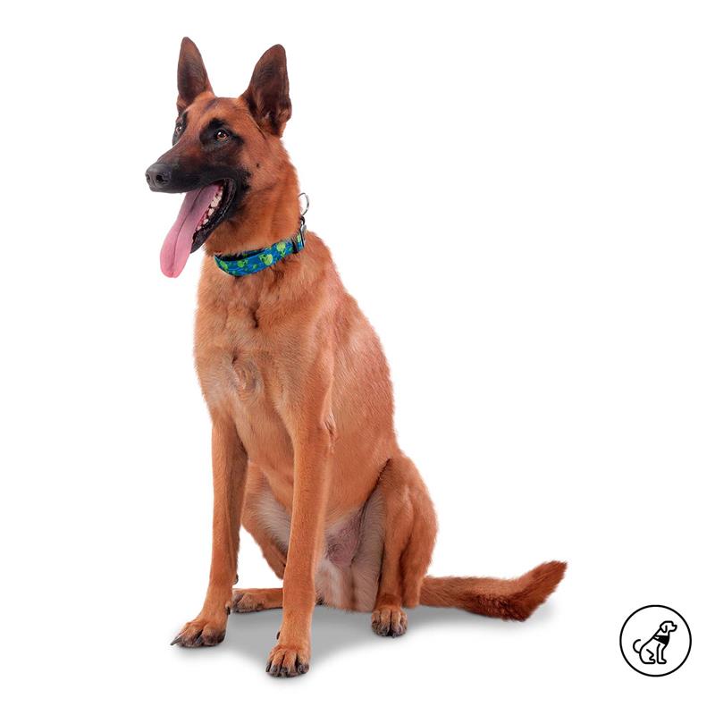 Collar Ajustable Mylu L para mascota