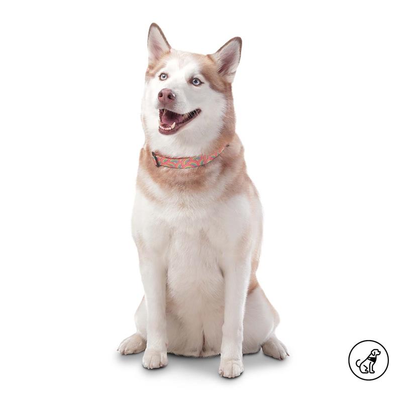 Collar Ajustable Mylu L para Mascota