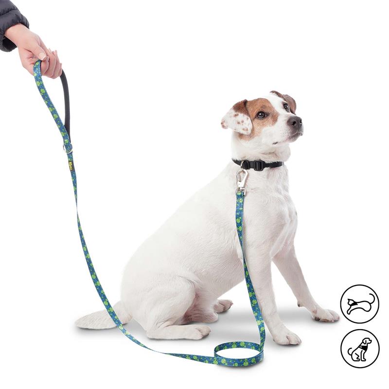 Correa Manija Sencilla Odye S para Mascotas