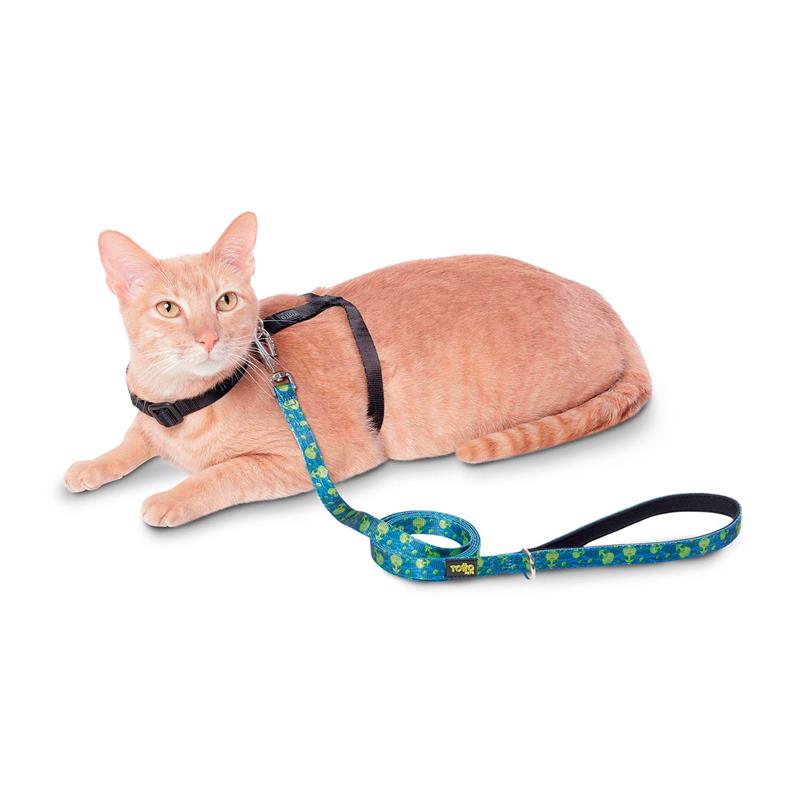 Correa Manija Sencilla Odye S para Mascotas