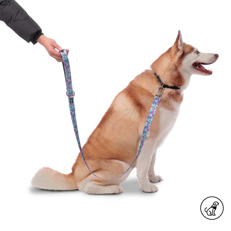 Correa Manija Sencilla Odye L para mascotas